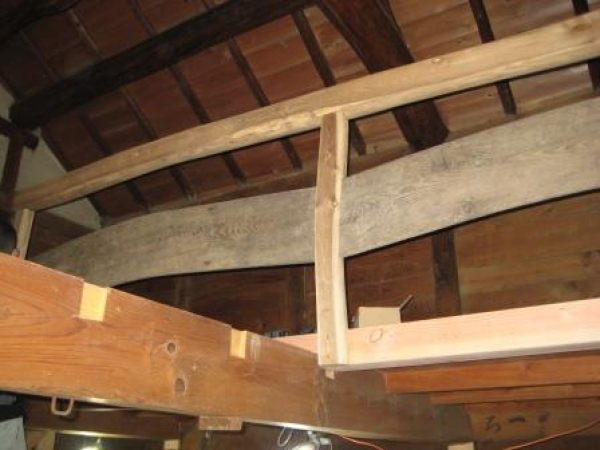 ������¢����