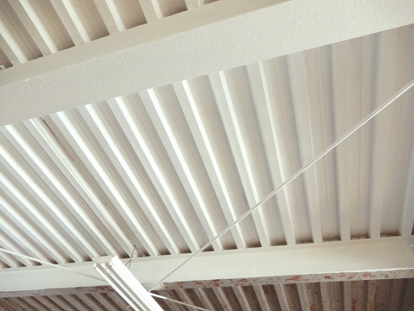 ����΢�����ؤ�