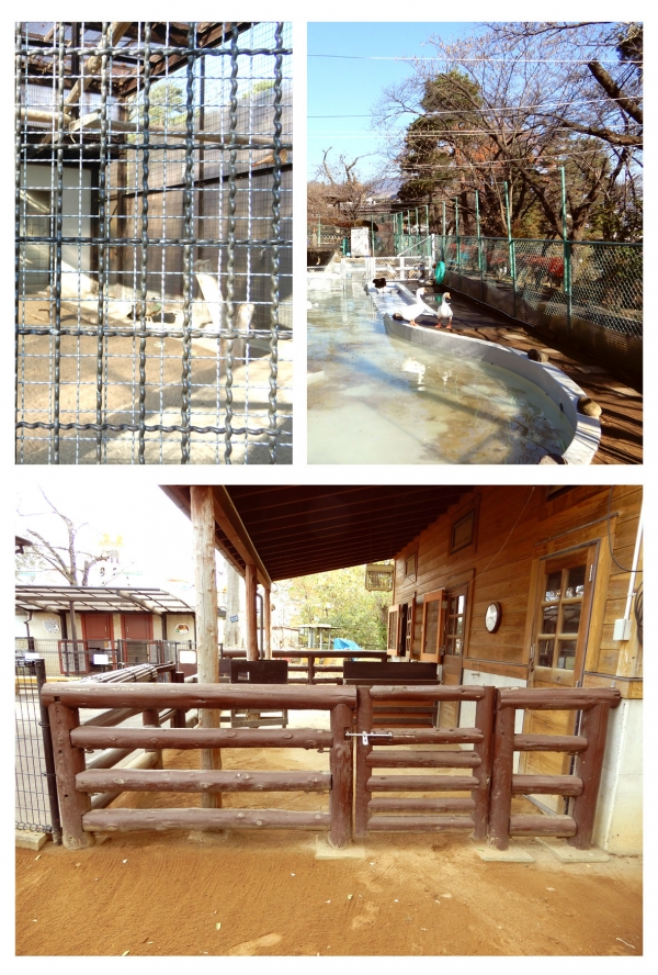 動物園施設の改修�