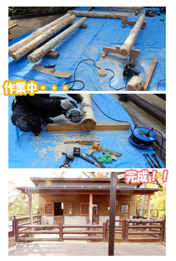 ưʪ����ߤβ�����