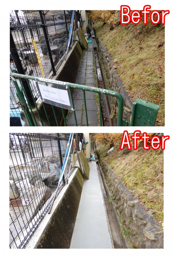 ưʪ����ߤβ�����