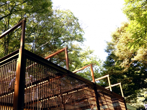 ưʪ����ߤβ�����