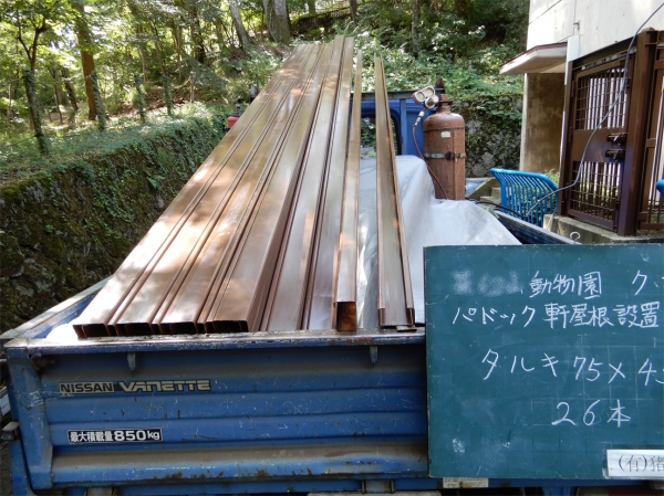 ưʪ����ߤβ�����